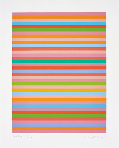 Bridget Riley "Rose Rose"