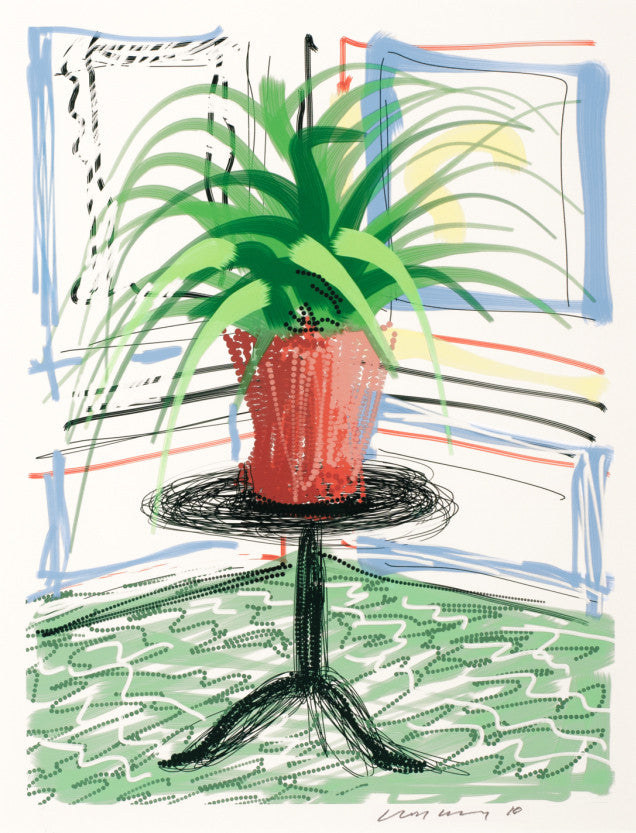 David Hockney Potted Plant Ipad Drawing Print