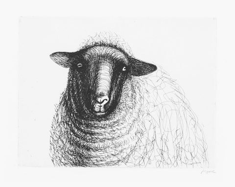 Henry Moore "Sheep's Head"