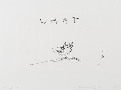 Tracey Emin "You said what"